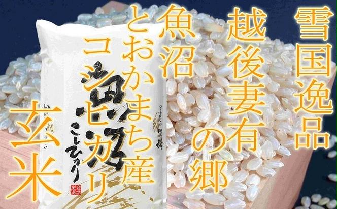 ●定期便・玄米●【雪国逸品2kg×3ヶ月】 越後妻有の郷 魚沼十日町産コシヒカリ