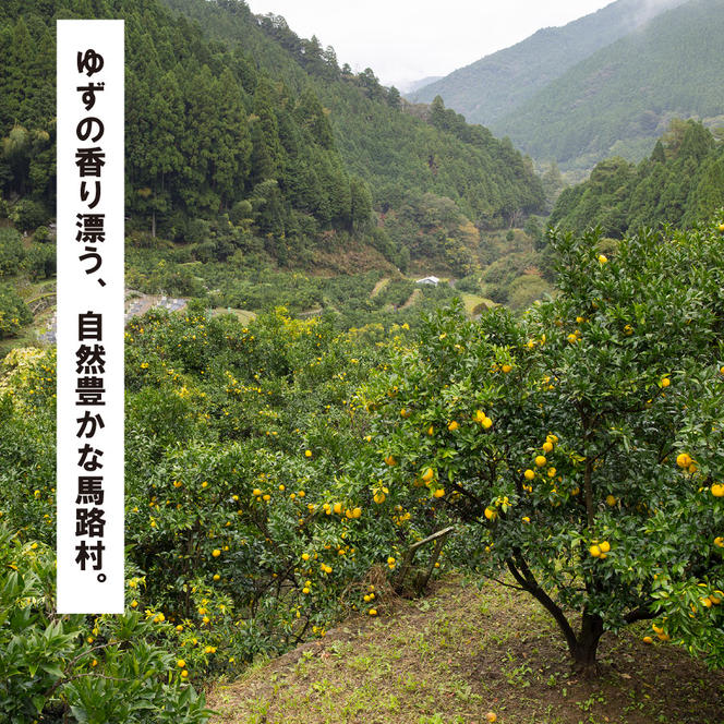 ゆずリキュール ゆずの村酒造・辛口（500ml×6本）　柚子酒 リキュール 果実酒 ゆず はちみつ お中元 宅飲み 家飲み ギフト 贈答用 父の日 のし 熨斗 高知県 馬路村【634】