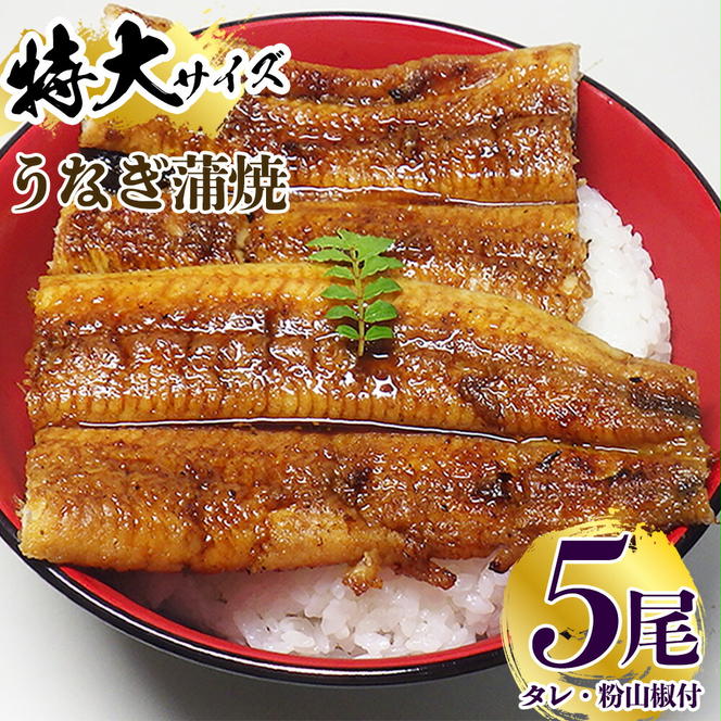 V7303_炭焼き うなぎ 蒲焼 特大サイズ 5尾 セット（約200g前後×5尾）タレ 粉山椒 付き　国産 鰻　冷凍 ウナギ　1尾ずつ真空パック　土用の丑の日　紀伊国屋文左衛門本舗