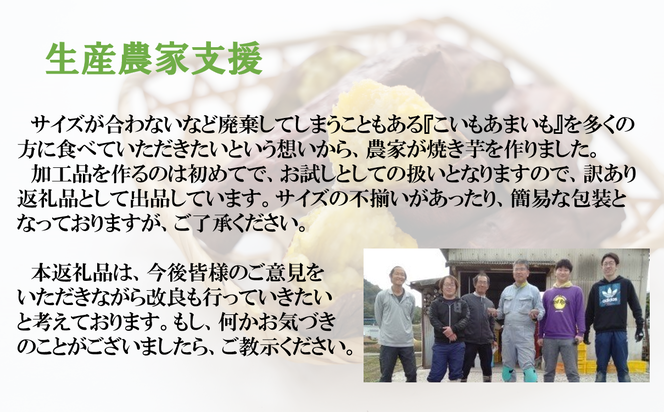 【訳あり】農家が作った超熟成蜜芋「こいもあまいも」の冷凍焼きいも 合計１kg（05-56）さつまいも　【シルクスイート】