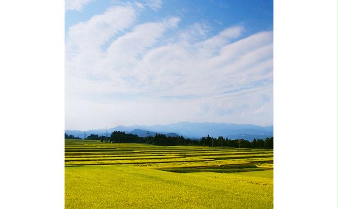 【通年受付】≪令和6年産≫　農家直送！魚沼産コシヒカリ特別栽培「白羽毛の米」精米 (2kg×3袋) 6kg