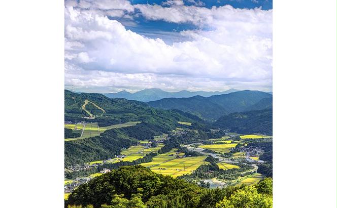 【通年受付】≪令和6年産≫　農家直送！魚沼産コシヒカリ特別栽培「白羽毛の米」精米 (300g×10袋) 3kg