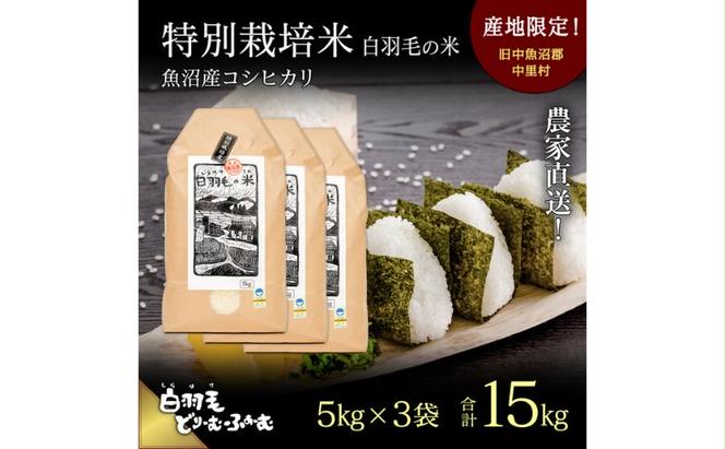 【通年受付】≪令和5年産≫　農家直送！魚沼産コシヒカリ特別栽培「白羽毛の米」精米 (5kg×3袋) 15kg