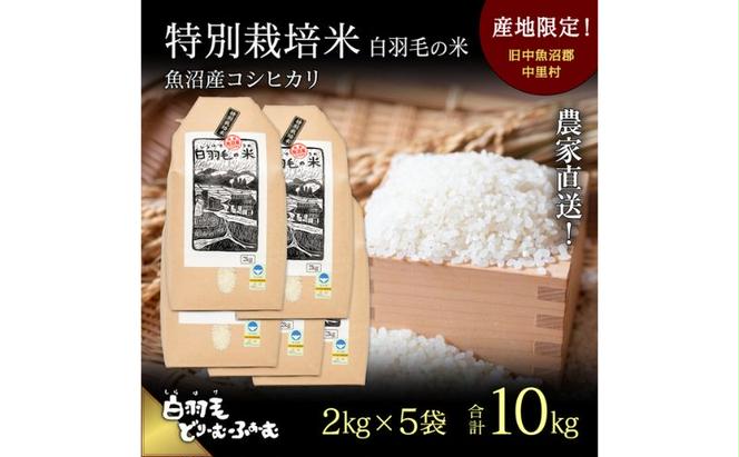 【通年受付】≪令和5年産≫　農家直送！魚沼産コシヒカリ特別栽培「白羽毛の米」精米(2kg×5袋) 10kg