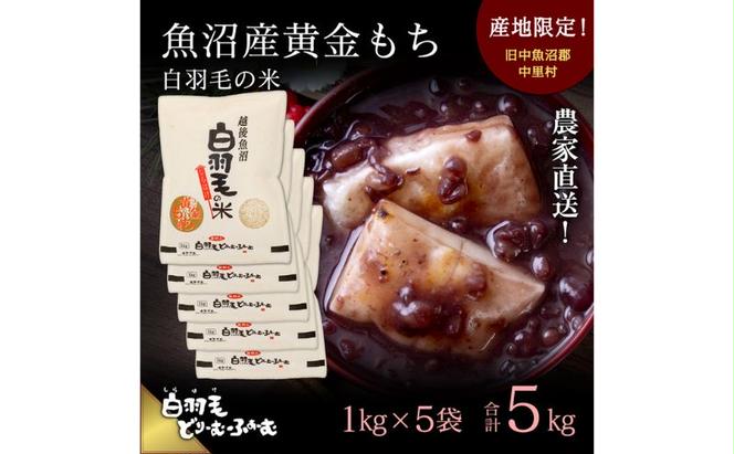 【通年受付】≪令和6年産≫　農家直送！魚沼産黄金もち「白羽毛の米」精米(1kg×5袋) 5kg