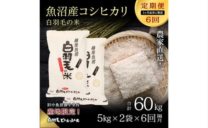 【通年受付】≪令和5年産≫【定期便／1ヶ月おき全6回】農家直送！魚沼産コシヒカリ「白羽毛の米」精米 (5kg×2袋)×6回 60kg