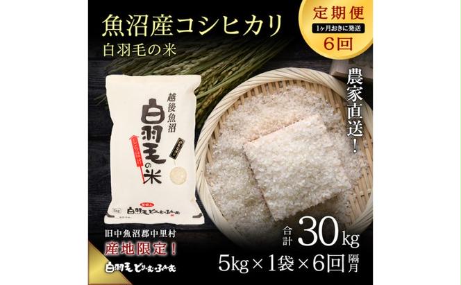 【通年受付】≪令和6年産　≫【定期便／1ヶ月おき全6回】農家直送！魚沼産コシヒカリ「白羽毛の米」精米(5kg×1袋)×6回  30kg