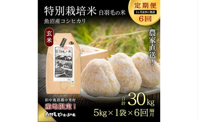 通年受付】≪令和5年産≫【定期便／1ヶ月おき全6回】農家直送！魚沼産コシヒカリ特別栽培「白羽毛の米」玄米(5kg×1袋)×6回 30kg（新潟県十日町市）  | ふるさと納税サイト「ふるさとプレミアム」