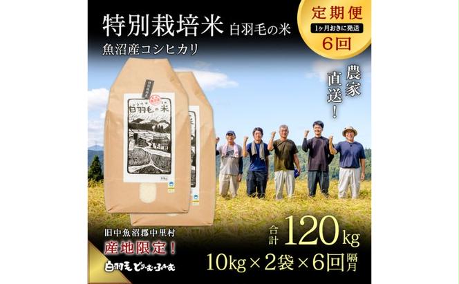 【通年受付】≪令和6年産　≫【定期便／1ヶ月おき全6回】農家直送！魚沼産コシヒカリ特別栽培「白羽毛の米」精米(10kg×2袋)×6回 120kg