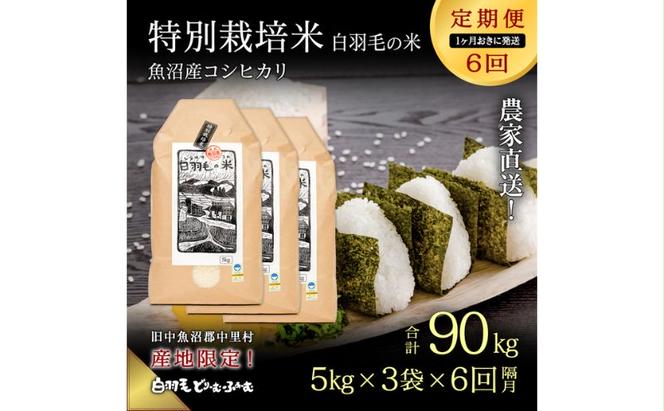 【通年受付】≪令和5年産≫【定期便／1ヶ月おき全6回】農家直送！魚沼産コシヒカリ特別栽培「白羽毛の米」精米(5kg×3袋)×6回  90kg