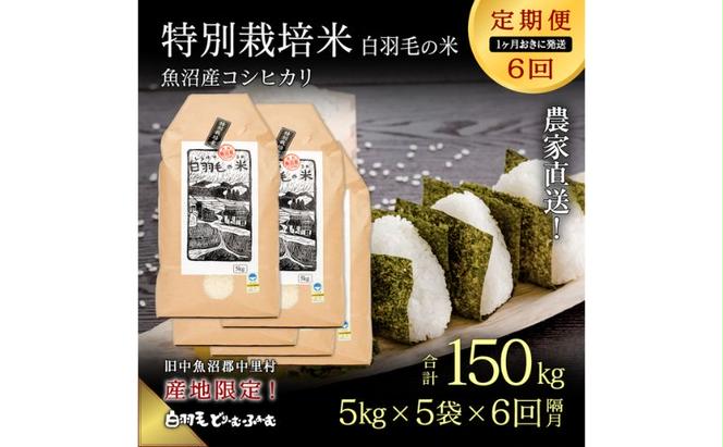 【通年受付】≪令和5年産≫【定期便／1ヶ月おき全6回】農家直送！魚沼産コシヒカリ特別栽培「白羽毛の米」精米(5kg×5袋)×6回 150kg