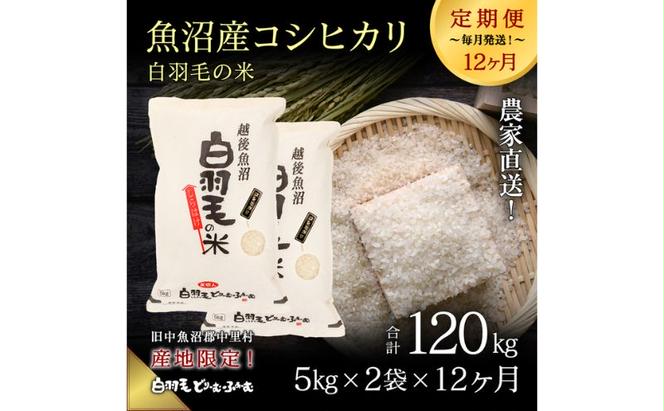 【通年受付】≪令和6年産　≫【定期便／全12回】農家直送！魚沼産コシヒカリ「白羽毛の米」精米(5kg×2袋)×12回 120kg