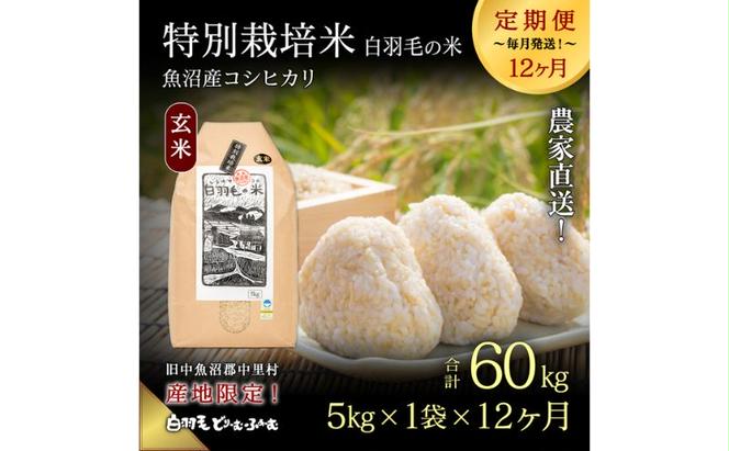 【通年受付】≪令和6年産　≫【定期便／全12回】農家直送！魚沼産コシヒカリ特別栽培「白羽毛の米」玄米(5kg×1袋)×12回  60kg