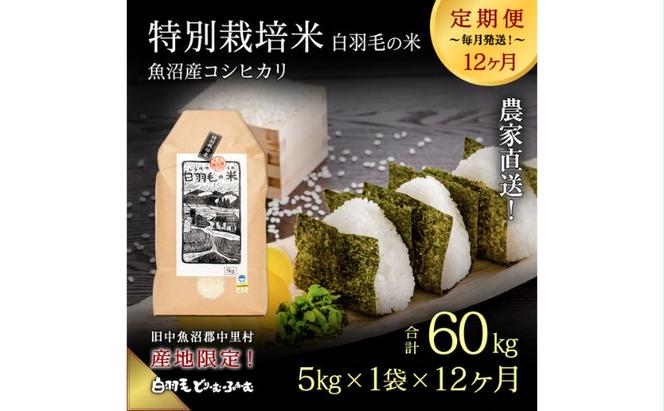 【通年受付】≪令和5年産≫【定期便／全12回】農家直送！魚沼産コシヒカリ特別栽培「白羽毛の米」精米 (5kg×1袋)×12回 60kg