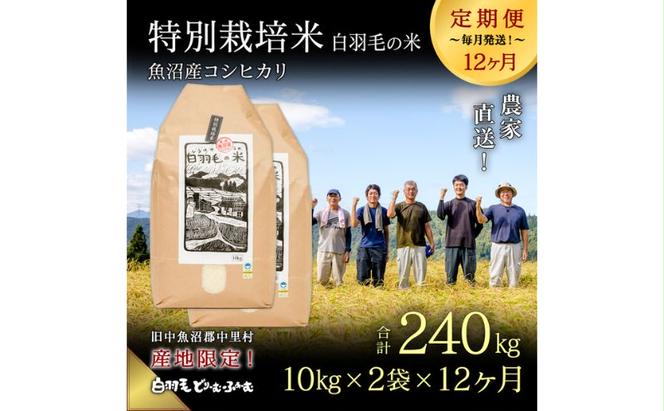 【通年受付】≪令和6年産　≫【定期便／全12回】農家直送！魚沼産コシヒカリ特別栽培「白羽毛の米」精米(10kg×2袋)×12回 240kg