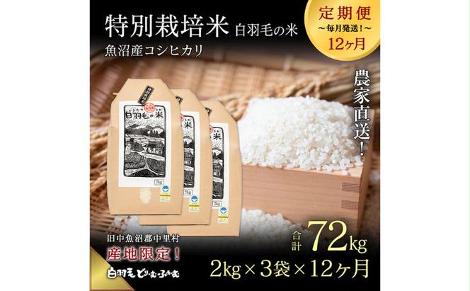 【通年受付】≪令和5年産≫【定期便／全12回】農家直送！魚沼産コシヒカリ特別栽培「白羽毛の米」精米(2kg×3袋)×12回  72kg