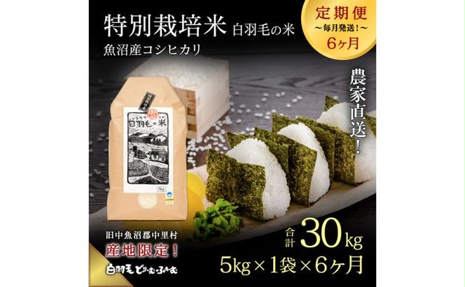 【通年受付】≪令和6年産　≫【定期便／全6回】農家直送！魚沼産コシヒカリ特別栽培「白羽毛の米」精米(5kg×1袋)×6回 30kg