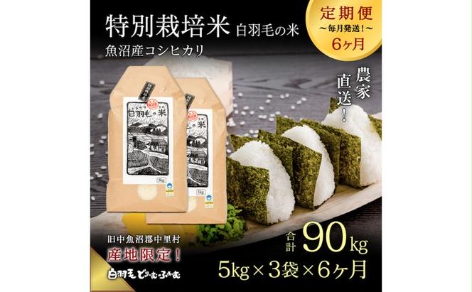 【通年受付】≪令和5年産≫【定期便／全6回】農家直送！魚沼産コシヒカリ特別栽培「白羽毛の米」精米15kg(5kg×3袋)×6回 計90kg