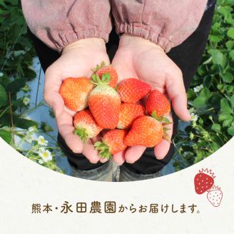 FKK19-816_【3月配送開始】嘉島町産ゆうべに 1,080g (270g×4)