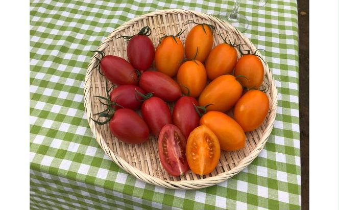 湘南・茅ヶ崎自慢のトマトの味わいが楽しめる　野崎農園　湘南ポモロンジュースセット　180ml　6本（レッド3本×ゴールド3本）