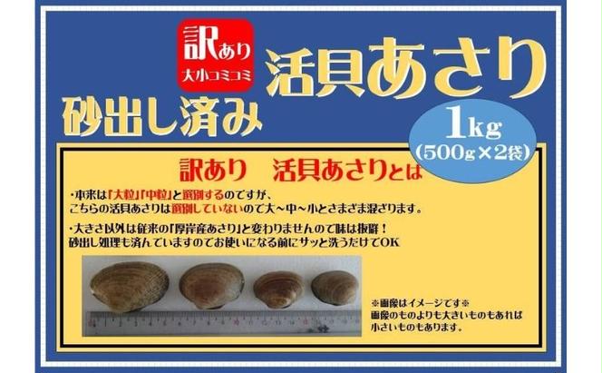 3カ月 定期便 北海道 厚岸産 訳あり 活あさり 500g×2(各月1kg、合計3kg) アサリ