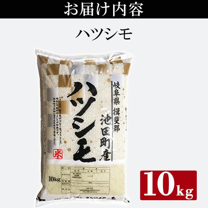 米 10kg ハツシモ 池田町産 8分づき 分つき精米 お米 おこめ こめ コメ ごはん ご飯 有機肥料 減農薬栽培 はつしも 岐阜県