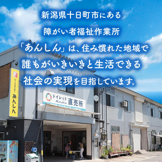 トイレットペーパー定期便「包装なしA3」【障がい者支援の返礼品】