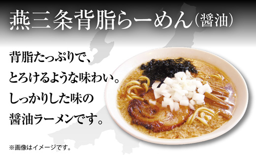 新潟 ご当地ラーメン 2種 燕三条背脂 佐渡あごだし 計8食 替え玉付き  乾麺 らーめん しょうゆ しお ラーメン 食べ比べ お取り寄せ ご当地 グルメ ギフト 松代そば善屋 新潟県 十日町市