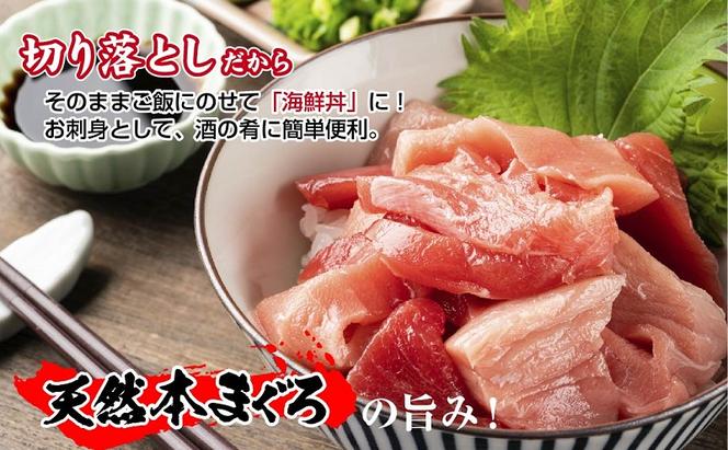 天然 本マグロ 切り落とし 赤身 中トロ 150g×2パック 計300g 本まぐろ クロマグロ 中とろ 冷凍 まぐろ 鮪 海鮮 刺身 海鮮丼 手巻き寿司 お取り寄せ グルメ 送料無料 新潟県 十日町市