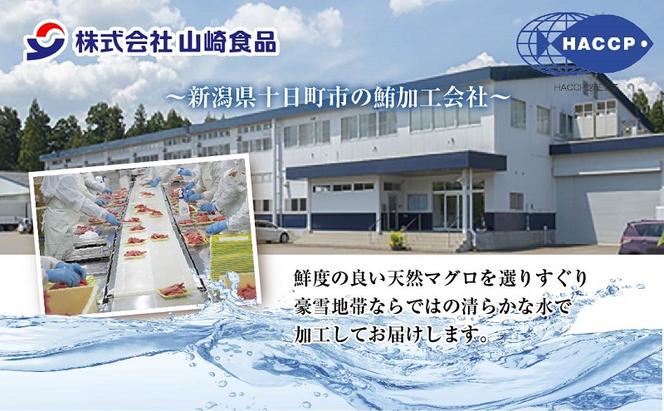 無地熨斗 天然 まぐろたたき 200g×4パック 計800g メバチ キハダ ビンチョウ マグロ ねぎとろ 海鮮丼 寿司 お取り寄せ 熨斗 のし 名入れ不可 送料無料 山崎食品 新潟県 十日町市