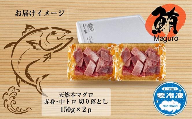 天然 本マグロ 切り落とし 赤身 中トロ 150g×2パック 計300g 本まぐろ クロマグロ 中とろ 冷凍 まぐろ 鮪 海鮮 刺身 海鮮丼 手巻き寿司 お取り寄せ グルメ 送料無料 新潟県 十日町市