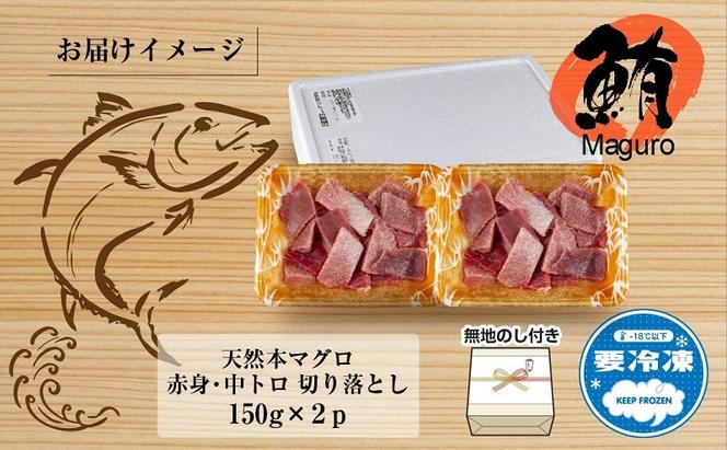 無地熨斗 天然 本マグロ 切り落とし 赤身 中トロ 150g×2パック 計300g クロマグロ 冷凍 まぐろ 刺身 手巻き寿司 お取り寄せ グルメ 熨斗 のし 名入れ不可 送料無料 新潟県 十日町市