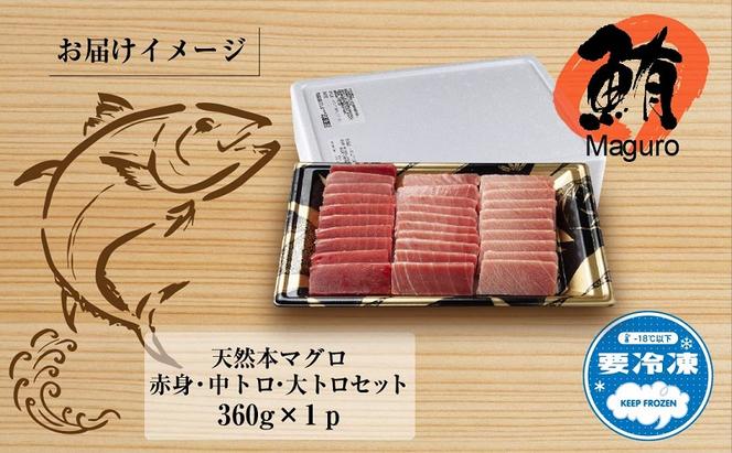 天然 本マグロ 刺身セット 360g 赤身 中トロ 大トロ 三種 盛り合わせ 鮪 クロマグロ 冷凍 まぐろ 刺身 海鮮丼 手巻き寿司 夕食 お取り寄せ グルメ 送料無料 山崎食品 新潟県 十日町市