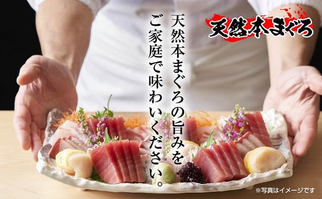 無地熨斗 天然 本マグロ 刺身セット 360g 赤身 中トロ 大トロ 三種 盛り合わせ 鮪 冷凍 まぐろ 手巻き寿司 お取り寄せ グルメ 熨斗 のし 名入れ不可 送料無料 山崎食品 新潟県 十日町市