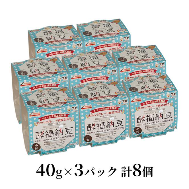 2ヵ月連続お届け「なかいさんちの手造り納豆」酵福納豆(40g×3パック) 計8個