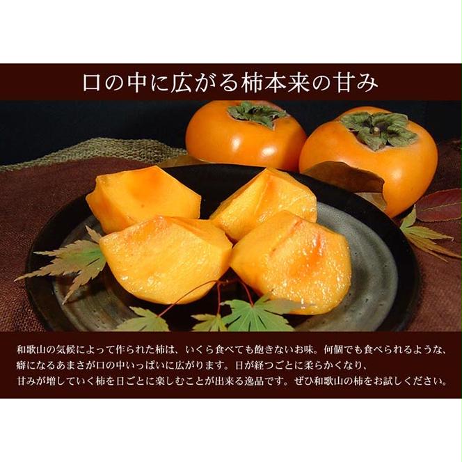和歌山の種なし柿 【秀品 サイズ・品種おまかせ】約7.5kg 和歌山県産 フルーツ かき 紀伊国屋文左衛門本舗
※2025年9月下旬～11月下旬頃に順次発送予定