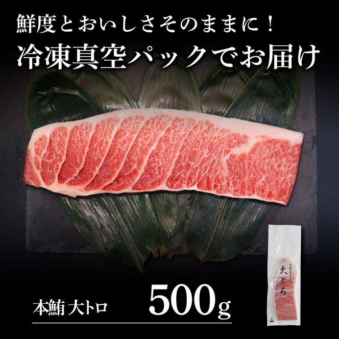 本鮪 大トロ500g トロ マグロ まぐろ 本まぐろ 刺身 刺し身 魚 天然 冷凍 美味しい おいしい 故郷納税 ふるさとのうぜい 返礼品 高知県 高知