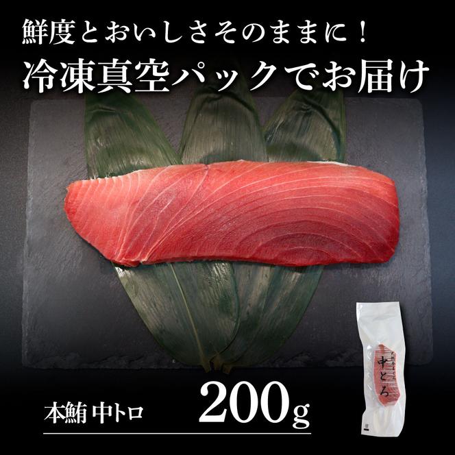 本鮪 中トロ200g トロ マグロ まぐろ 本まぐろ 刺身 刺し身 魚 海鮮 冷凍 美味しい おいしい 故郷納税 ふるさとのうぜい 返礼品 高知県  高知（高知県土佐市） ふるさと納税サイト「ふるさとプレミアム」