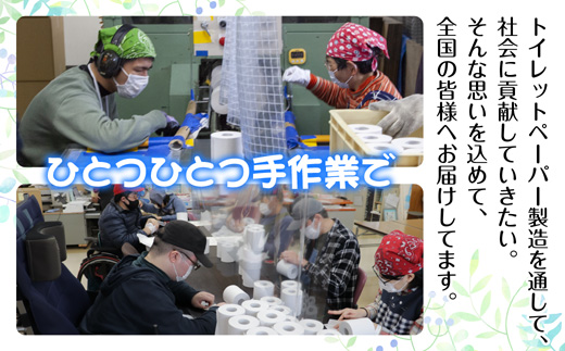 3ヵ月毎2回 定期便 トイレットペーパー シングル 65m 100ロール 無包装 香りなし 日本製 日用品 備蓄 再生紙 リサイクル NPO法人支援センターあんしん 新潟県 十日町市 消耗品 生活必需品 エコ製品 