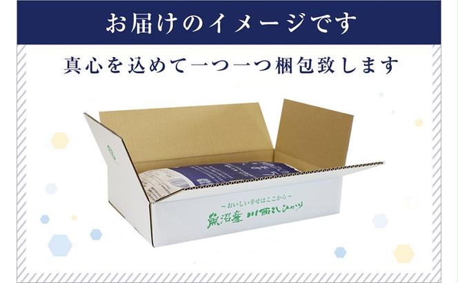 【定期便／12ヶ月】ゆきまち米5kg 極上魚沼産コシヒカリ