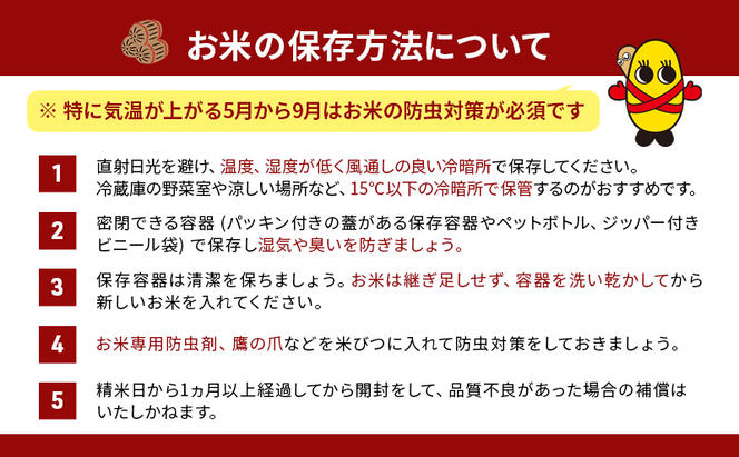 3カ月定期便 北海道 留萌管内産 ななつぼし 6kg（3kg×2袋）米