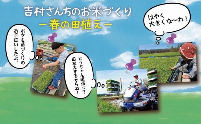 従来品種｜ 魚沼産 コシヒカリ 5kg ×3袋 計15kg 米 こしひかり お米 コメ 新潟 魚沼 魚沼産 白米 送料無料 新潟県産 精米 産直  農家直送 お取り寄せ 吉村さんちのお米 新潟県 十日町市（新潟県十日町市） | ふるさと納税サイト「ふるさとプレミアム」