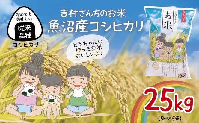 従来品種｜ 魚沼産 コシヒカリ 5kg ×5袋 計25kg 米 こしひかり お米 コメ 新潟 魚沼 魚沼産 白米 送料無料 新潟県産 精米 産直  農家直送 お取り寄せ 吉村さんちのお米 新潟県 十日町市（新潟県十日町市） | ふるさと納税サイト「ふるさとプレミアム」