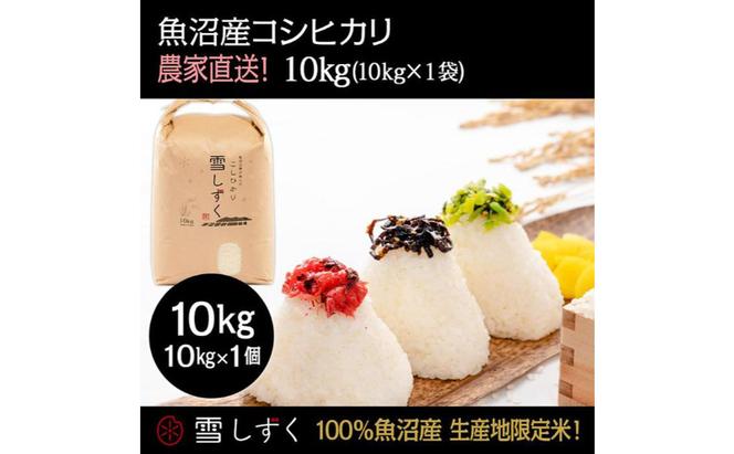 魚沼産コシヒカリ【農家直送!】 10kg×1袋
