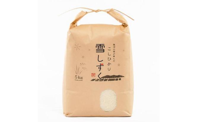 魚沼産コシヒカリ【農家直送!】 5kg×2袋