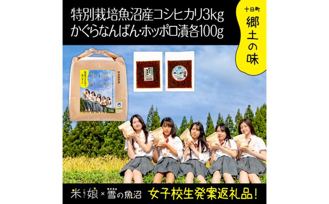 【令和6年産】女子高生「米娘」×株式会社雪の魚沼！県認証特栽魚沼コシヒカリ3kgとかぐらなんばん・ホッポロ漬各100g