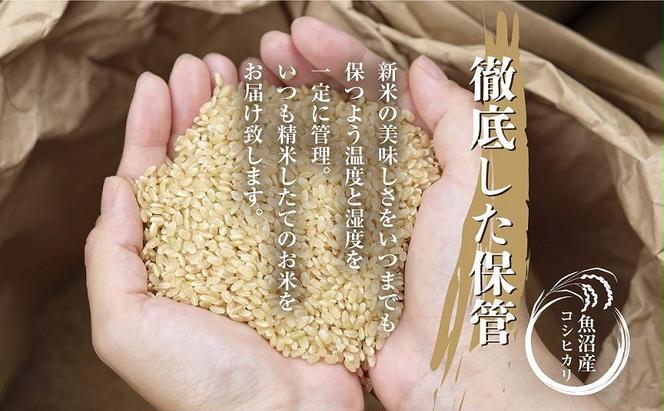 【令和6年産 新米予約】 無地熨斗 無洗米 魚沼産 コシヒカリ 2kg 精米 農家のこだわり 新潟県 十日町市 お米 こめ 白米 コメ 食品 人気 おすすめ 送料無料