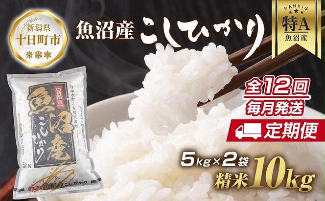 【定期便】新潟県 魚沼産 コシヒカリ お米 10kg×計12回 精米済み 年間 毎月発送 こしひかり （お米の美味しい炊き方ガイド付き）