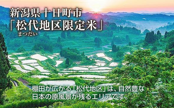 【無地熨斗】 棚田米 魚沼産 コシヒカリ 5kg 新潟県 十日町市 松代地区 限定 棚田 こしひかり （お米屋秘伝！美味しいご飯の炊き方ガイド付き）