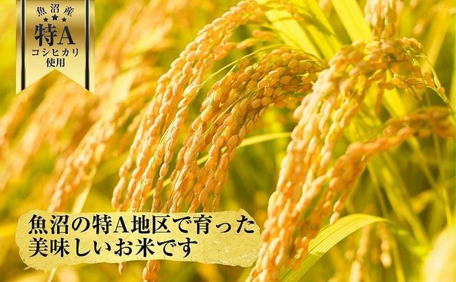 新潟県 魚沼産 備蓄 コシヒカリ ご飯 200g×10 パック ごはん レンジ 簡単 巣籠り 無添加